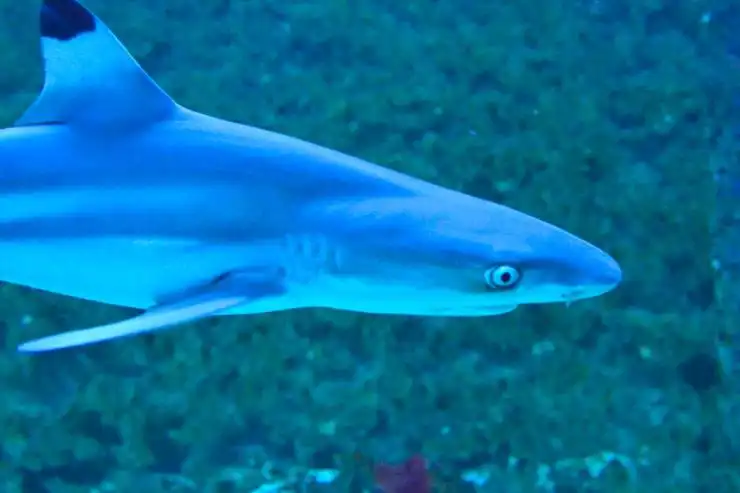 chorwacja co zobaczyc