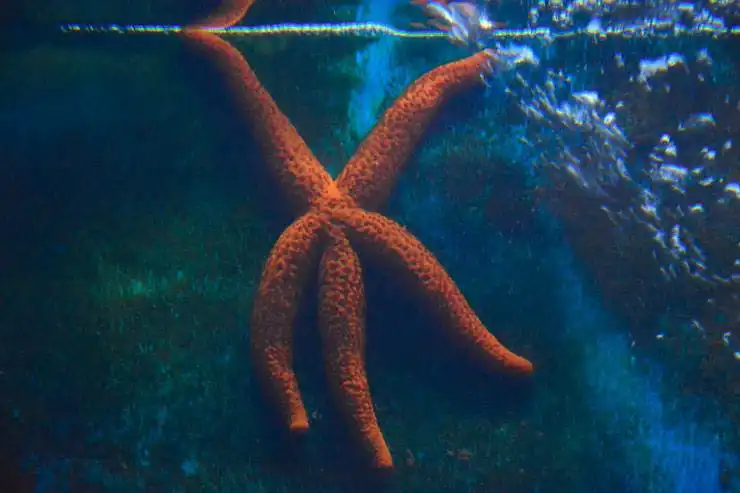 chorwacja co zobaczyc