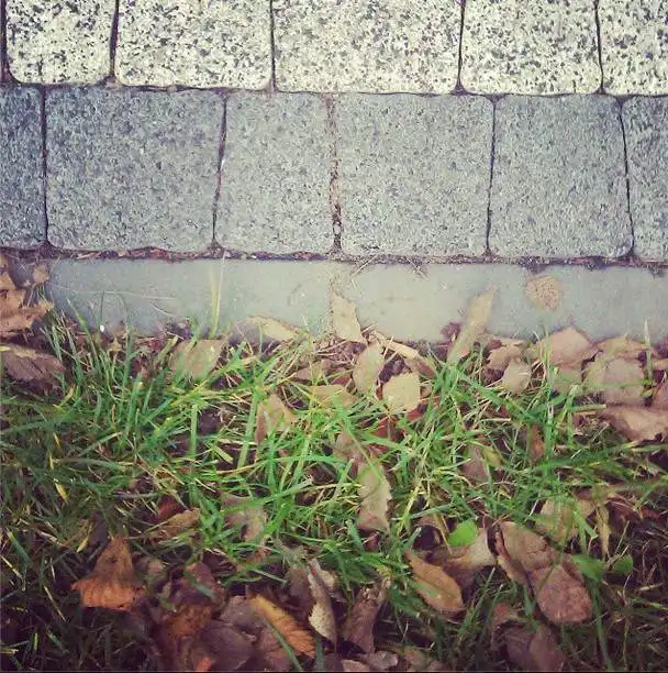 Ashampoo_Snap_2014.11.19_13h03m28s_006_