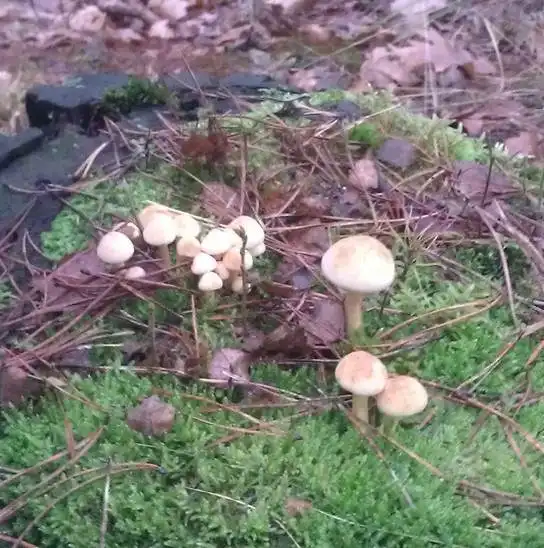 Ashampoo_Snap_2014.11.26_21h48m11s_001_