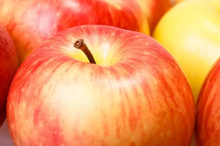 stockvault-apples126899