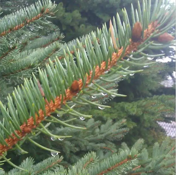 Ashampoo_Snap_2014.12.15_08h59m48s_001_