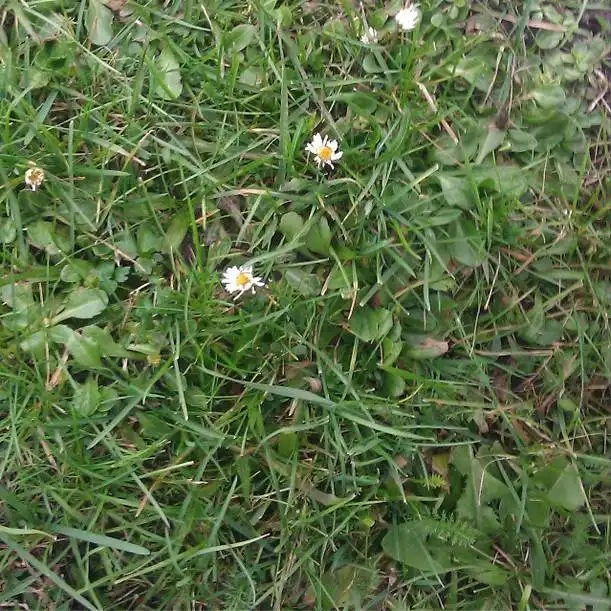 Ashampoo_Snap_2014.12.15_09h00m36s_002_