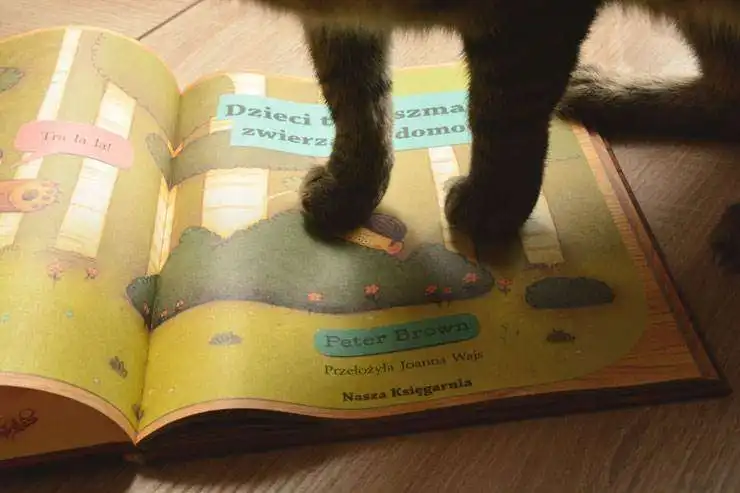 Watson zaatakował książkę!