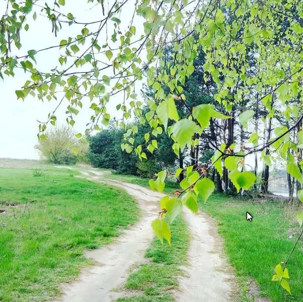 Ashampoo_Snap_2016.04.25_18h53m55s_004_