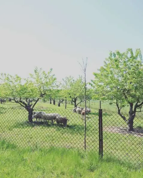 Ashampoo_Snap_2016.05.09_20h40m12s_001_